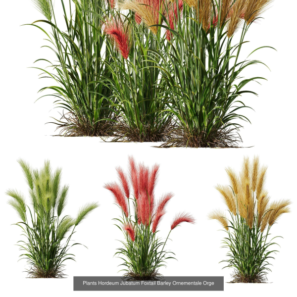 80 Different SETS Of Grass and Bush SET VOL08