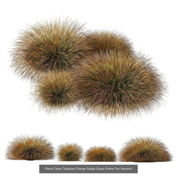 80 Different SETS Of Grass and Bush SET VOL08