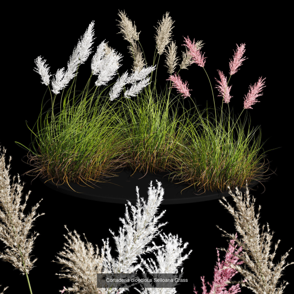 80 Different SETS Of Grass and Bush SET VOL08
