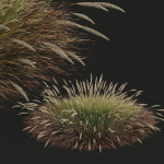 80 Different SETS Of Grass and Bush SET VOL08