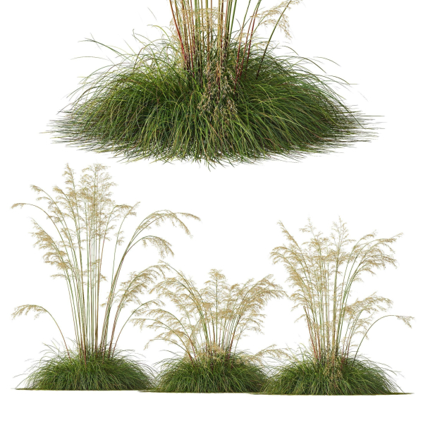 80 Different SETS Of Grass and Bush SET VOL08