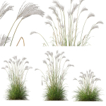 80 Different SETS Of Grass and Bush SET VOL08