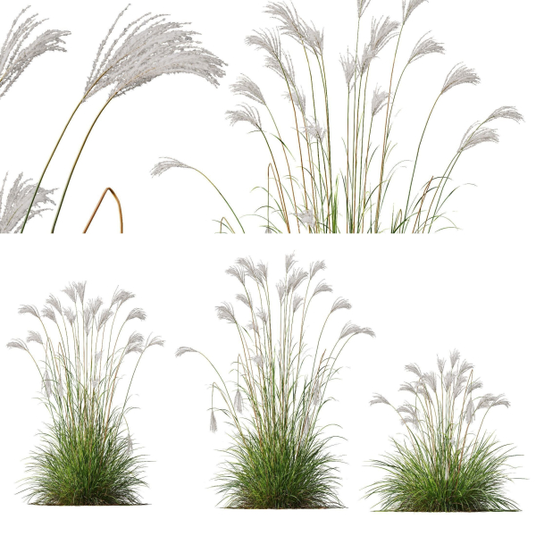 80 Different SETS Of Grass and Bush SET VOL08