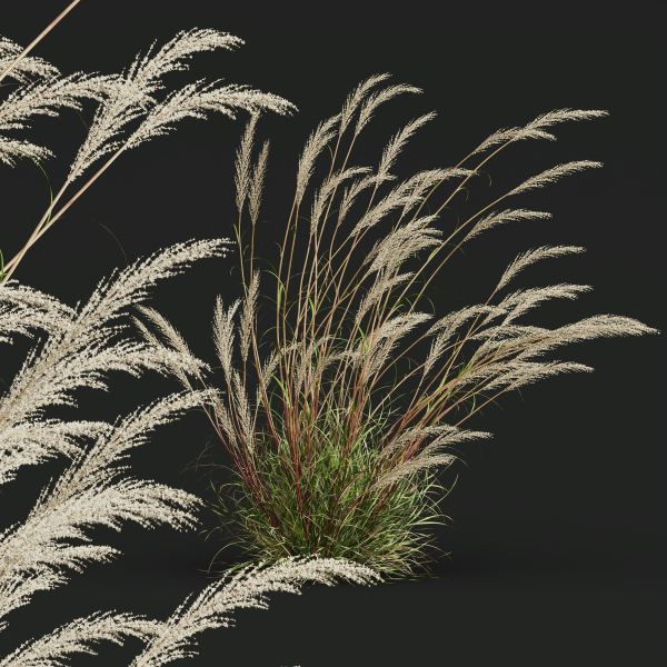 80 Different SETS Of Grass and Bush SET VOL08