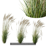 80 Different SETS Of Grass and Bush SET VOL08