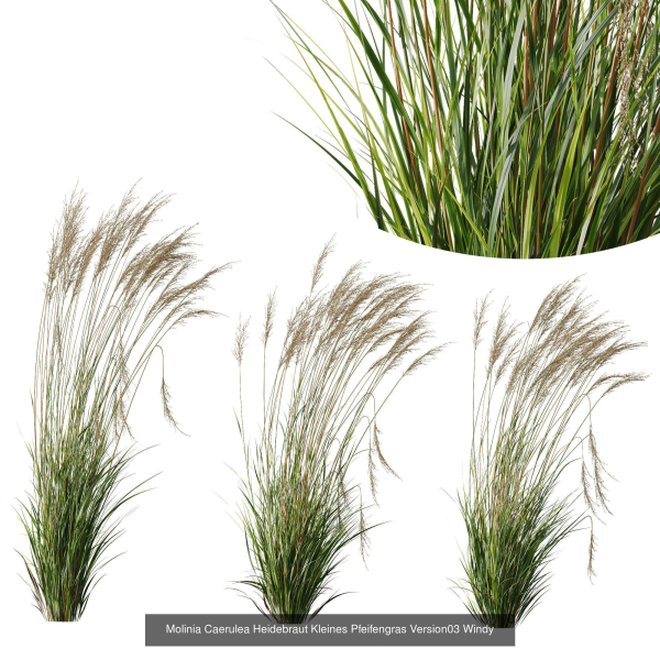 80 Different SETS Of Grass and Bush SET VOL08