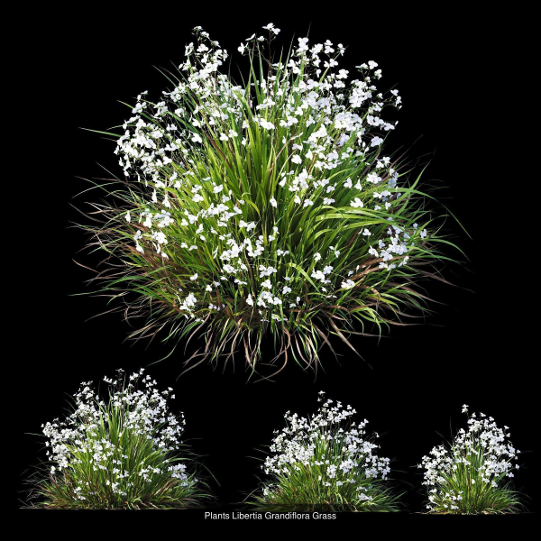 80 Different SETS Of Grass and Bush SET VOL08