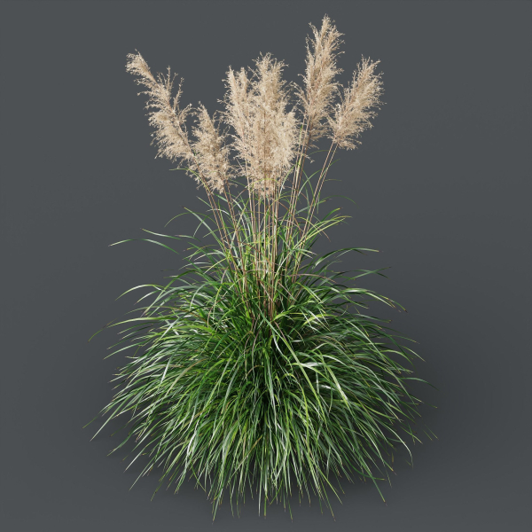 80 Different SETS Of Grass and Bush SET VOL08