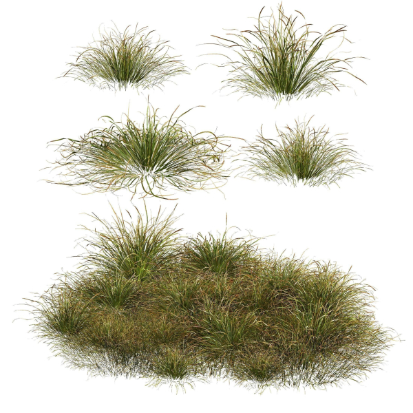 80 Different SETS Of Grass and Bush SET VOL08