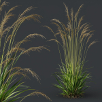 80 Different SETS Of Grass and Bush SET VOL08