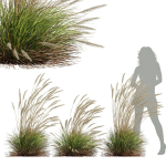 80 Different SETS Of Grass and Bush SET VOL08