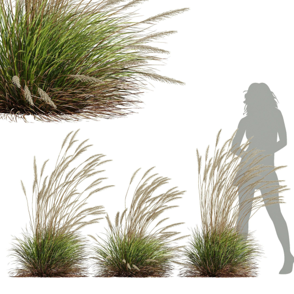80 Different SETS Of Grass and Bush SET VOL08