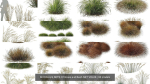 80 Different SETS Of Grass and Bush SET VOL08