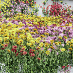 80 Different SETS Of Grass and Bush SET VOL08