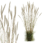 80 Different SETS Of Grass and Bush SET VOL08