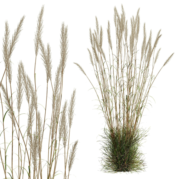 80 Different SETS Of Grass and Bush SET VOL08