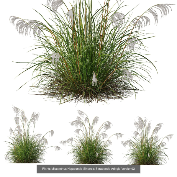 80 Different SETS Of Grass and Bush SET VOL08