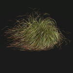 80 Different SETS Of Grass and Bush SET VOL08