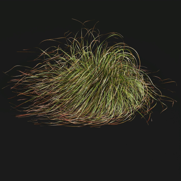 80 Different SETS Of Grass and Bush SET VOL08