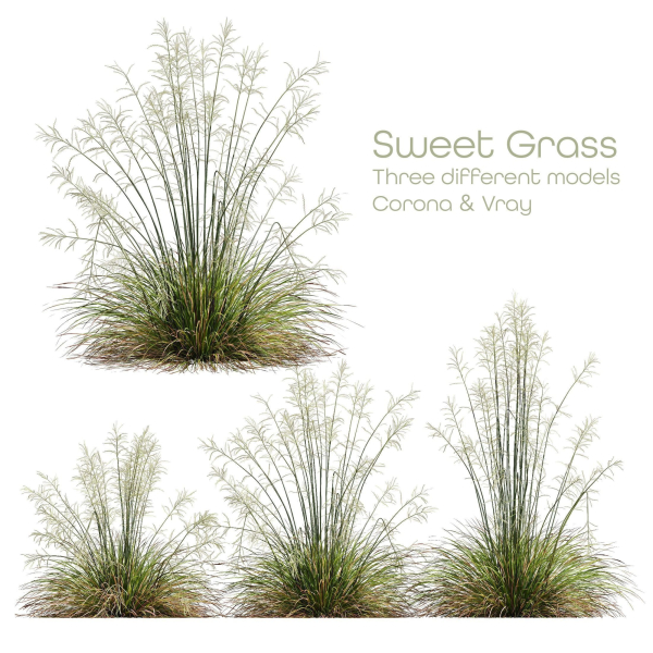 80 Different SETS Of Grass and Bush SET VOL08