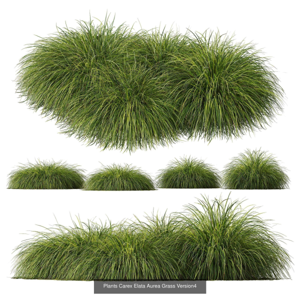 80 Different SETS Of Grass and Bush SET VOL08