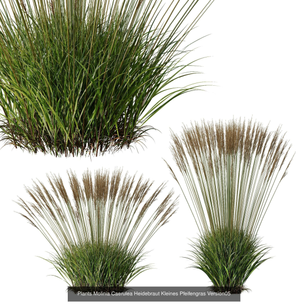 80 Different SETS Of Grass and Bush SET VOL08