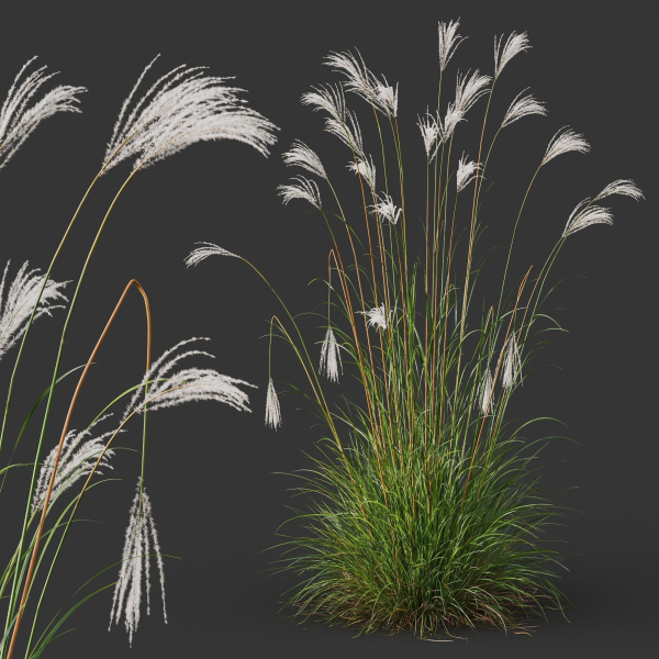 80 Different SETS Of Grass and Bush SET VOL08
