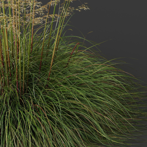 80 Different SETS Of Grass and Bush SET VOL08
