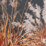 80 Different SETS Of Grass and Bush SET VOL08