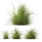 80 Different SETS Of Grass and Bush SET VOL08