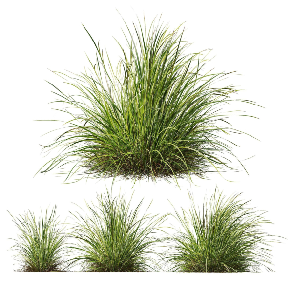 80 Different SETS Of Grass and Bush SET VOL08