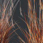 80 Different SETS Of Grass and Bush SET VOL08