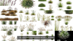 80 Different SETS Of Grass and Bush SET VOL08