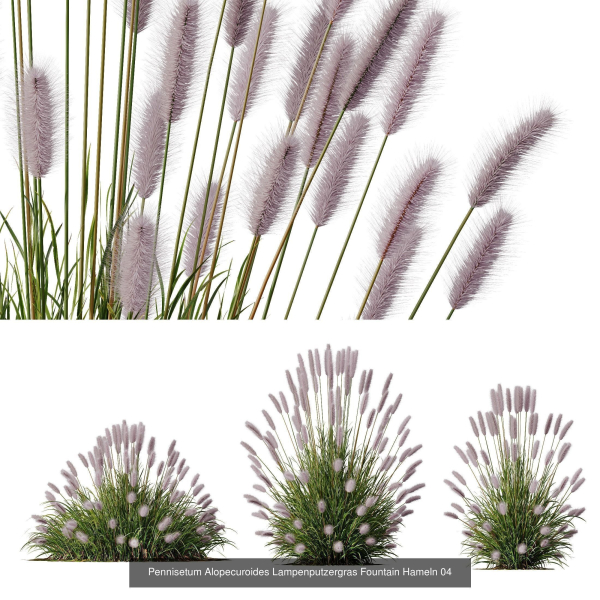 80 Different SETS Of Grass and Bush SET VOL08