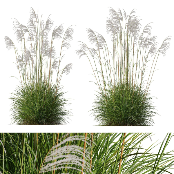 80 Different SETS Of Grass and Bush SET VOL08