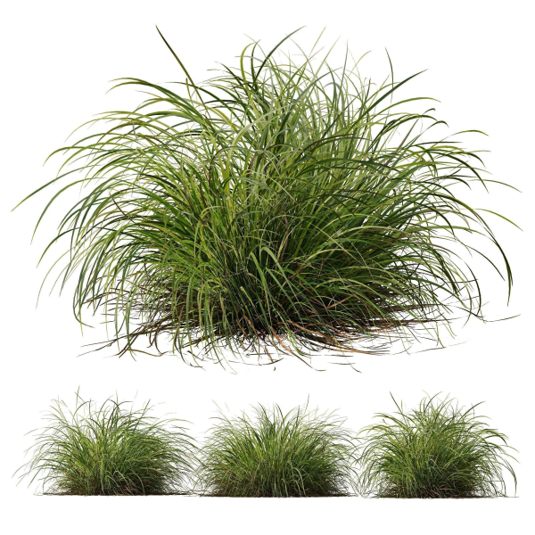 80 Different SETS Of Grass and Bush SET VOL08