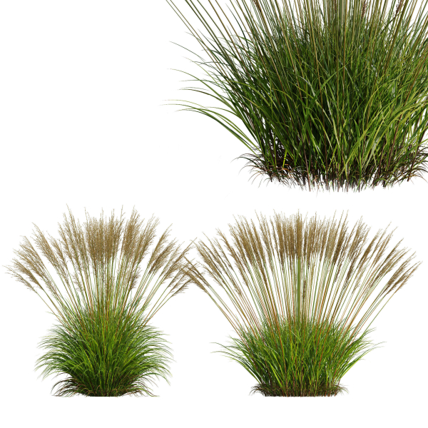 80 Different SETS Of Grass and Bush SET VOL08