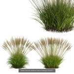 80 Different SETS Of Grass and Bush SET VOL08