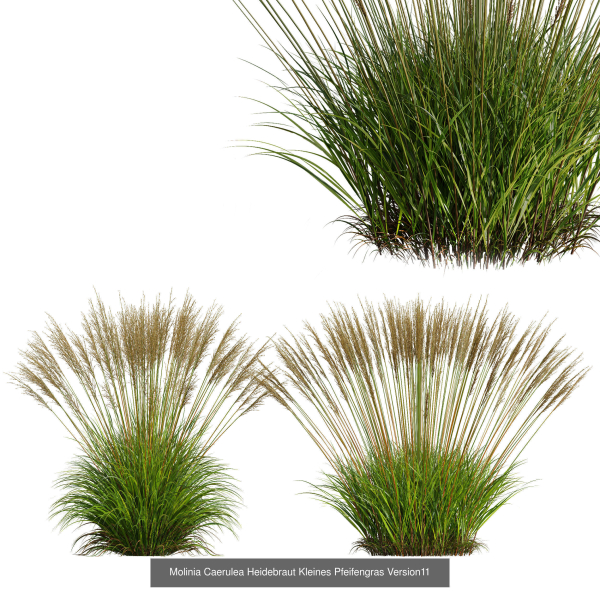 80 Different SETS Of Grass and Bush SET VOL08