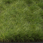 80 Different SETS Of Grass and Bush SET VOL08