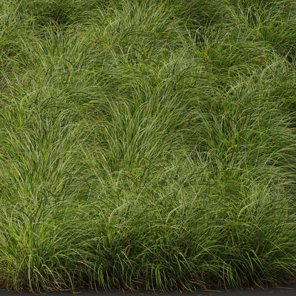 80 Different SETS Of Grass and Bush SET VOL08