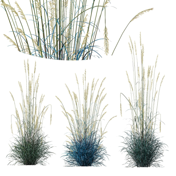 80 Different SETS Of Grass and Bush SET VOL08
