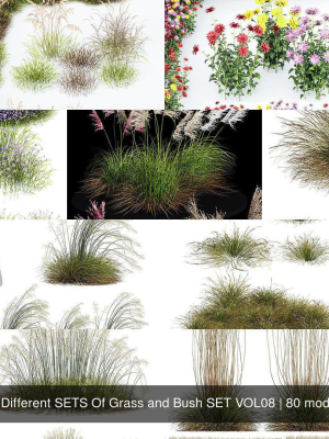 80-different-sets-of-grass-and-bush-set-vol08-3d-model-73d9c74619