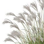 80 Different SETS Of Grass and Bush SET VOL08