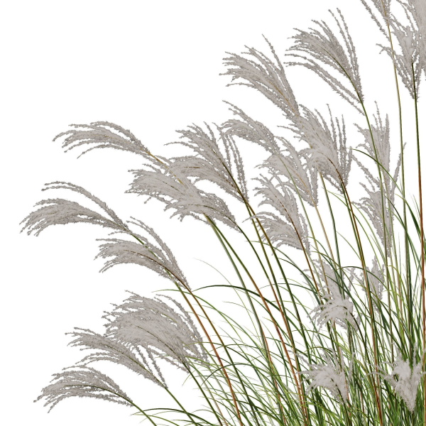 80 Different SETS Of Grass and Bush SET VOL08