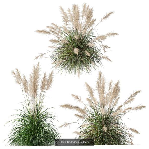 80 Different SETS Of Grass and Bush SET VOL08