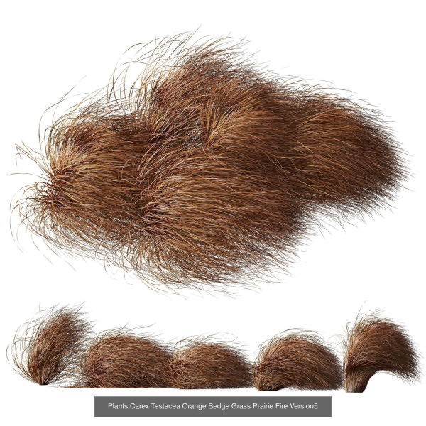 80 Different SETS Of Grass and Bush SET VOL08