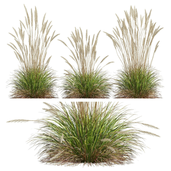 80 Different SETS Of Grass and Bush SET VOL08