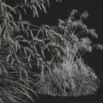 80 Different SETS Of Grass and Bush SET VOL08