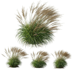 80 Different SETS Of Grass and Bush SET VOL08